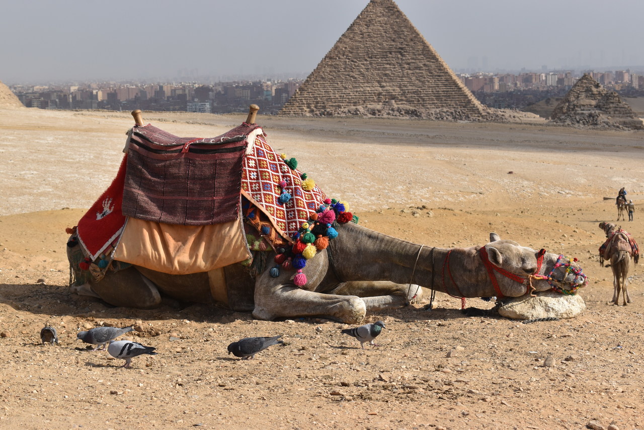vacances-egypte-guide-de-voyage