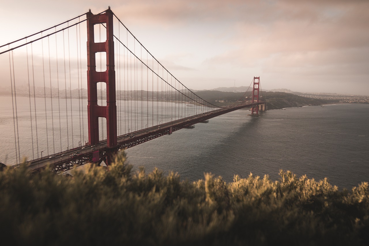 Pont