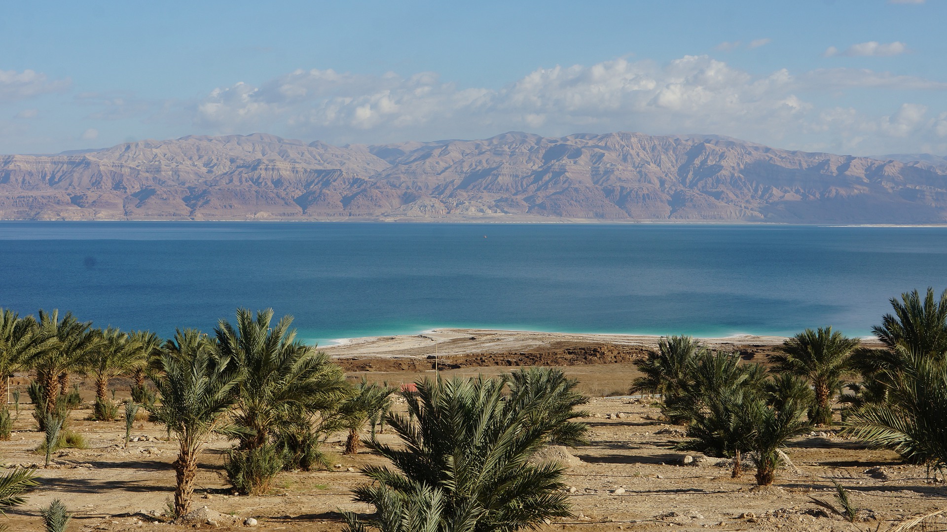 Côcôtier en israel
