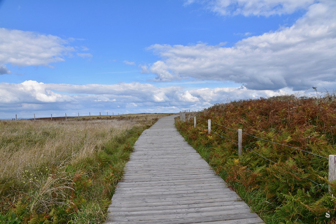 Chemin