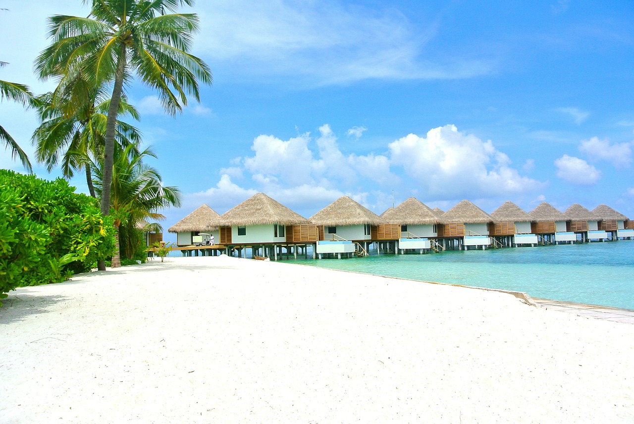 Maldives plage noix de coco