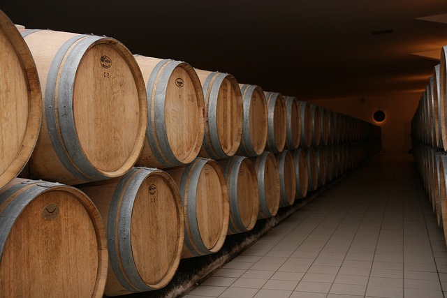 Cave à vin de Bordeaux