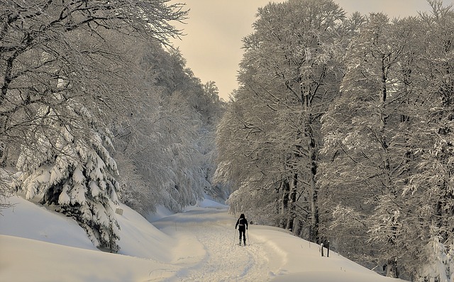 Irati, Snow, Pyrénées 