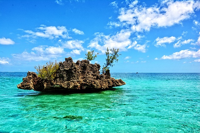 Island, Tropics, Mauritius