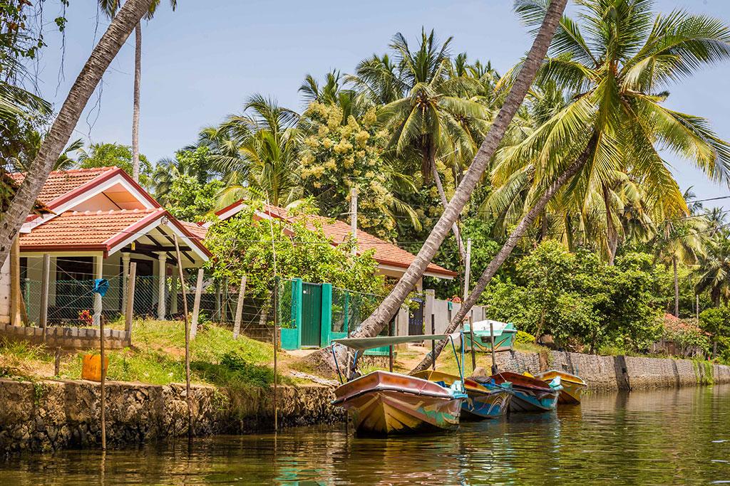 Tresors-de-Ceylan-4-en-groupe-Sri-Lanka-Ovoyages-05